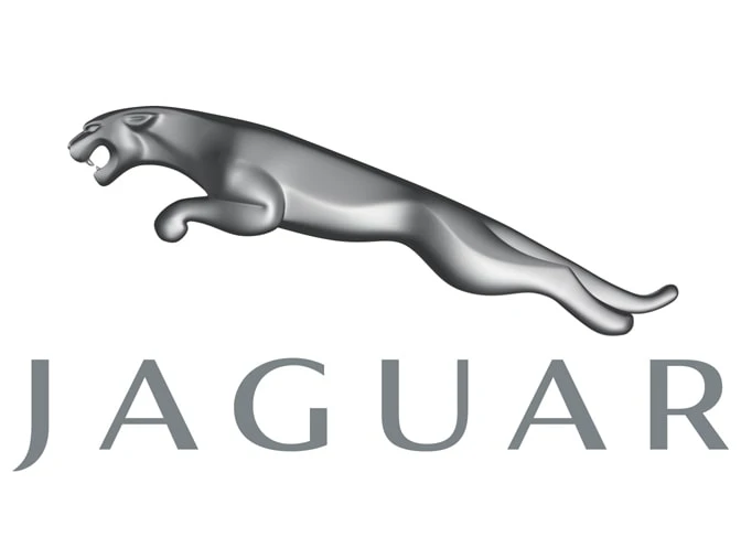 JAGUAR PREMIUM COVORAȘ